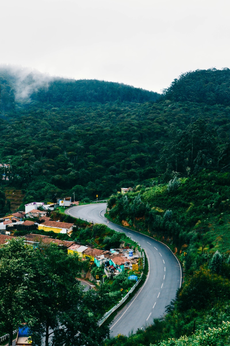 transportation, scenics - nature, tree, growth, ooty, beauty in nature, 5K, road, outdoors, mountain, forest, landscape, green color, tranquility, high angle view