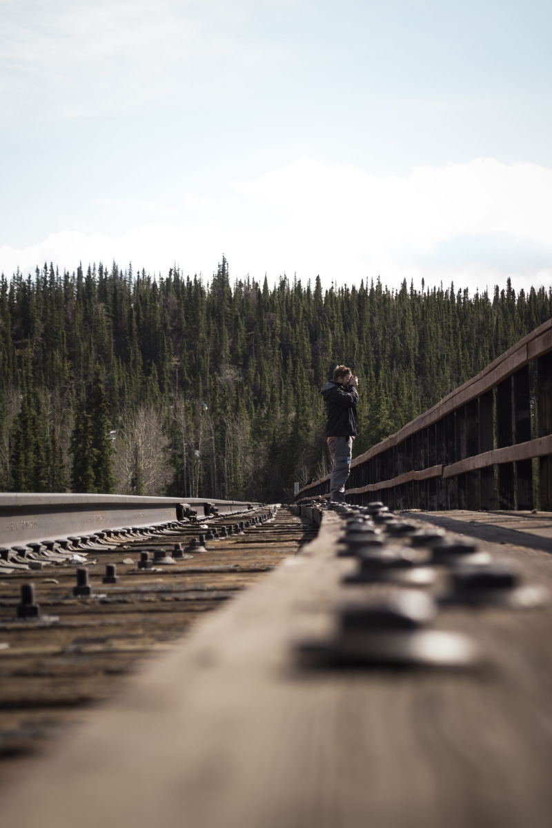 solitude, forest, railroad, wood - material, nature, leisure activity, trees, beauty in nature, selective focus, taking, real people, plant, man, alone
