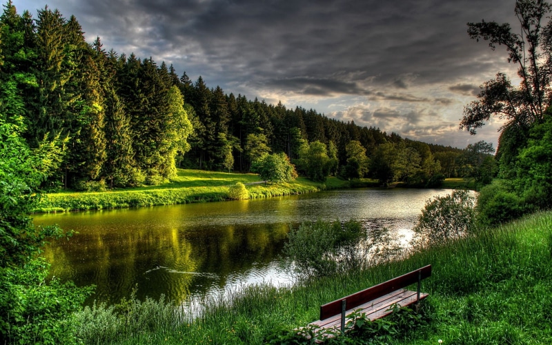 reflection, sky, tranquil scene, cloud - sky, tree, tranquility, growth, grass, scenics - nature, 2K, wooden, green color, lake, outdoors, water, brown