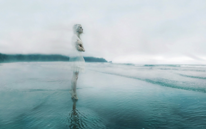 day, animal themes, one animal, beach, tranquility, scenics - nature, no people, sky, water, women, tranquil scene, 1080P, beauty in nature, nature, photomontage