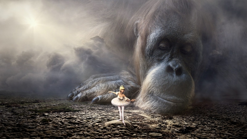 outdoors, composing, mammal, magic, vertebrate, face, emotion, mood, fantasy, charming, 4K, one animal, photomontage, dreams, light, ape, fantastic, oran utan
