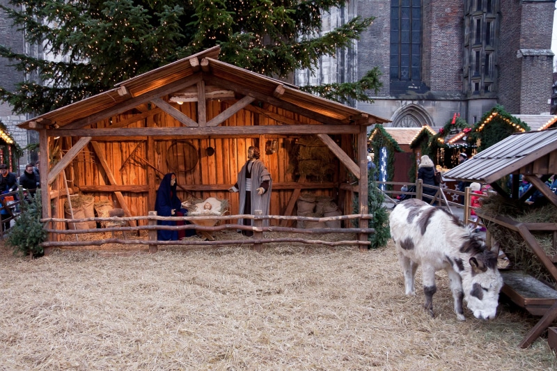 building exterior, pets, lifestyles, built structure, 4K, postcard, jesus, father christmas, building, real people, nativity, advent, donkey, illuminated