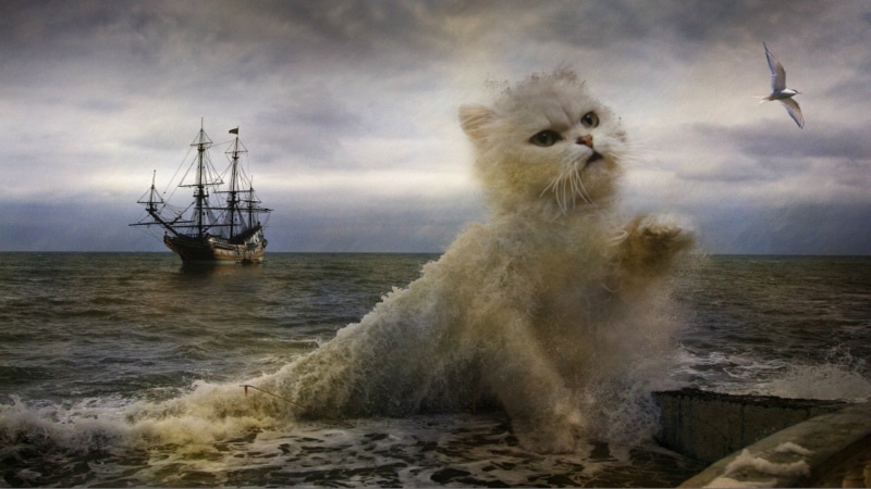 creative, animals, painting, digital, waves, cats, art, Photoshop, 1080P, sea, artwork, fantasy, ocean