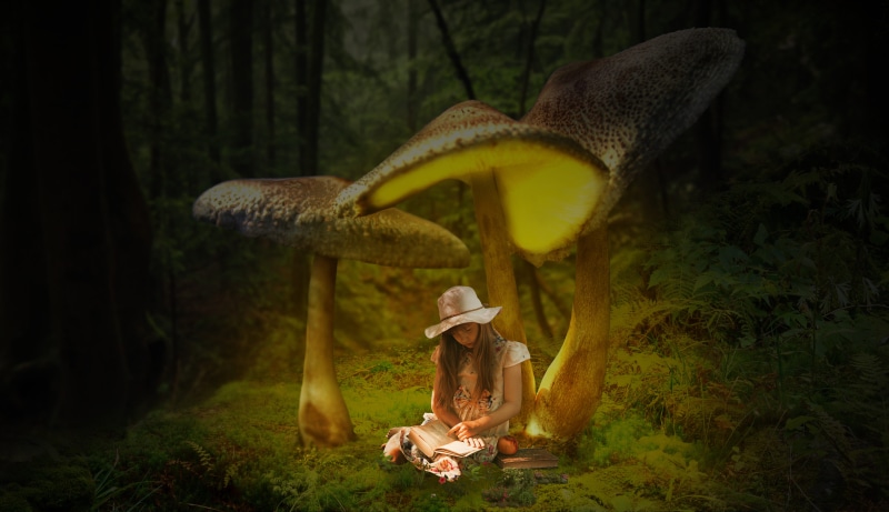 forest, composing, atmospheric, farmer, nature, obscured face, women, woodland, mystical, lifestyles, full length, book, fairytale, growth, one person