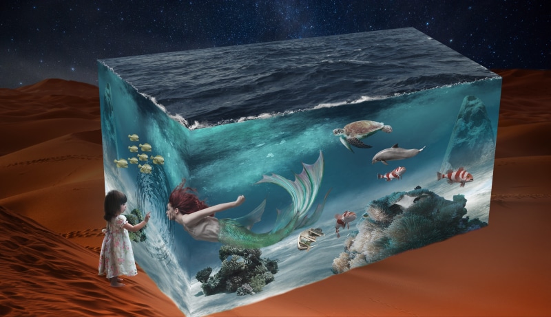 goal, real people, undersea, meeresbewohner, motion, mood, mermaid, longing, people, girl, swimming, 5K, underwater world, nature, togetherness, fish