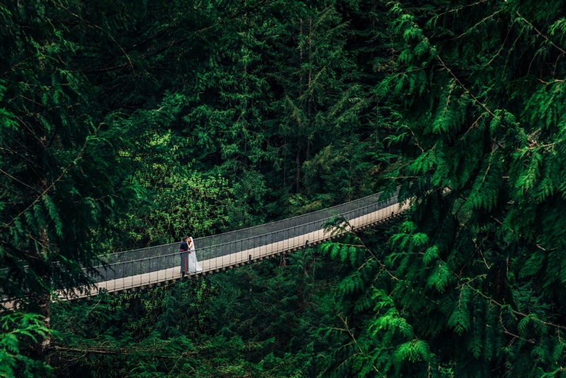 high angle view, green color, tranquil scene, no people, groom, environment, kissing, forest, women, birds eye view, soldier, tree, nature, weddings, beauty in nature