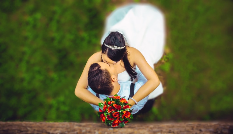 lovers, happy, landscape, real people, plant, holding, flowering plant, couple, rose, marry, togetherness, white, uruguay, complicity, grooms, event, emgombe