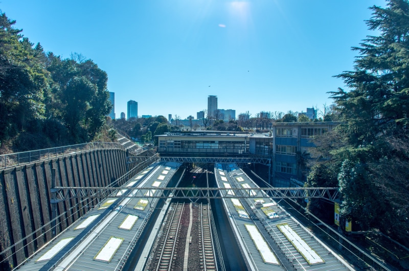 bridge - man made structure, office building exterior, rail transportation, tree, day, building exterior, built structure, bridge, sky, mode of transportation