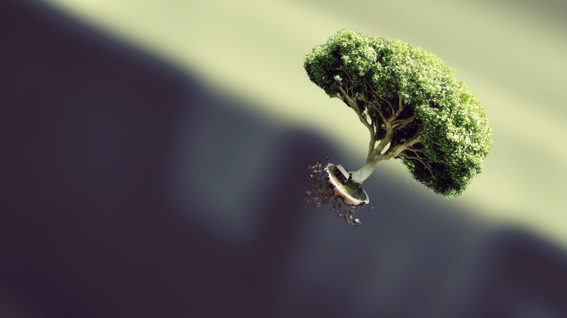 simple background, digital art, floating, artwork, 1080P, nature, bonsai, CGI, blurred, bokeh, render, trees