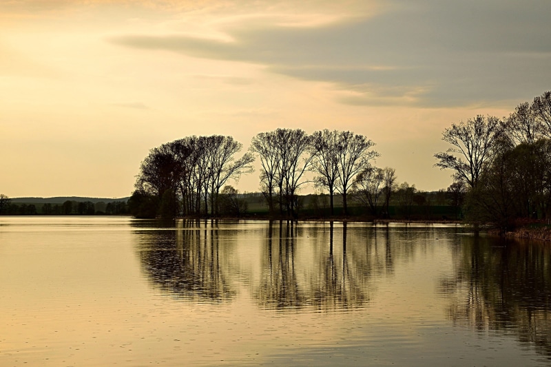trees, rainstorm, tranquility, plant, 4K, lake, cloud - sky, tree, thunderstorm, silhouette, reflection, growth, sky, scenics - nature, tranquil scene