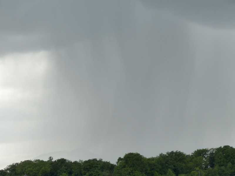 plant, rainstorm, downpour, no people, thunderstorm, low angle view, tranquil scene, sky, day, rain, storm, beauty in nature, weather, strömender rain