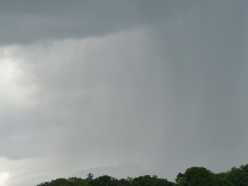 outdoors, sky, 4K, no people, ominous, blue, Rainstorm, treetop, cloud - Sky, storm cloud, non-urban scene, tranquil scene, environment, downpour, scenics - nature
