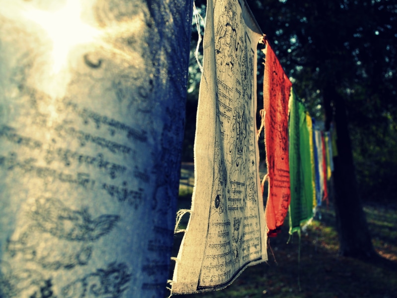 religion, land, group of objects, flag, day, tibetan prayer flags, selective focus, hanging, focus on foreground, tree trunk, wood - material, spirituality