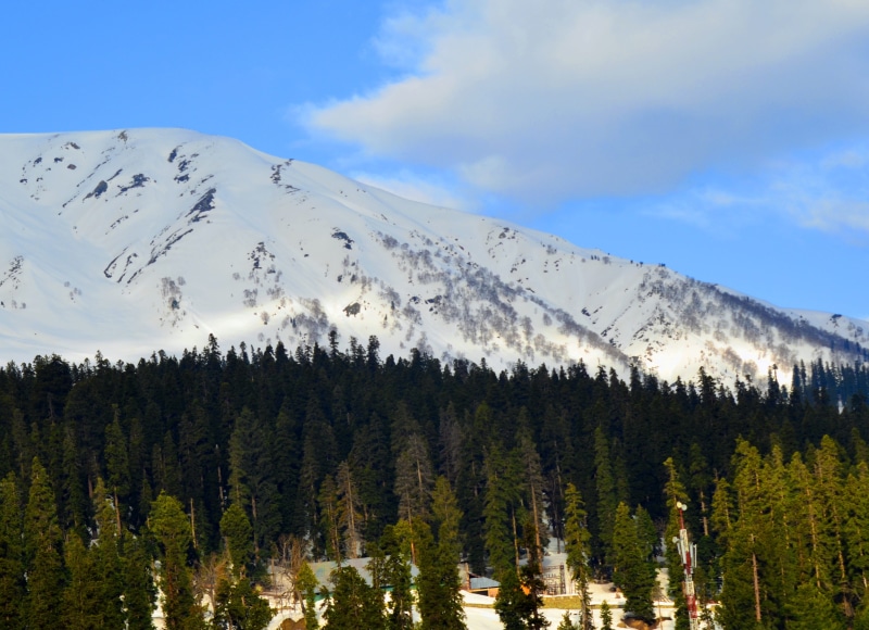 himalayas, high, snowcapped mountain, day, forest, sky, growth, non-urban scene, beauty in nature, snow, clouds, mountains, scenery, no people, cold, trees