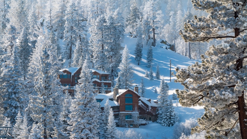 snow, tree, vacation, architecture, united states, coniferous tree, pine woodland, south lake tahoe, white, built structure, building, scenics - nature