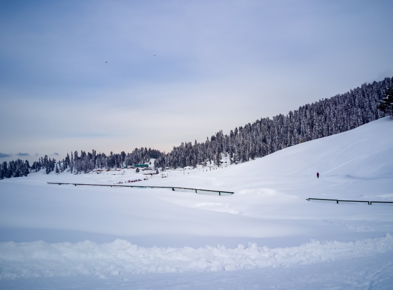 tree, architecture, winter, day, kashmir, environment, outdoors, snow, non-urban scene, sky, snowcapped mountain, gulmarg, tranquil scene, scenics - nature