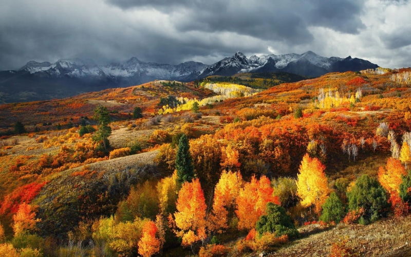 environment, daytime, outdoors, uSA, landscape, multi Colored, change, trees, green, sky, yellow, rock - Object, forest, Colorado, plant part, season, red