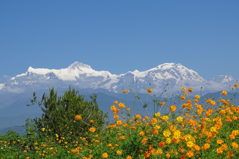 sunshine, mountain range, himalayas, tranquil scene, mountain, clear sky, blue, tree, cold temperature, sky, beauty in nature, annapurna, day s, snowcapped mountain
