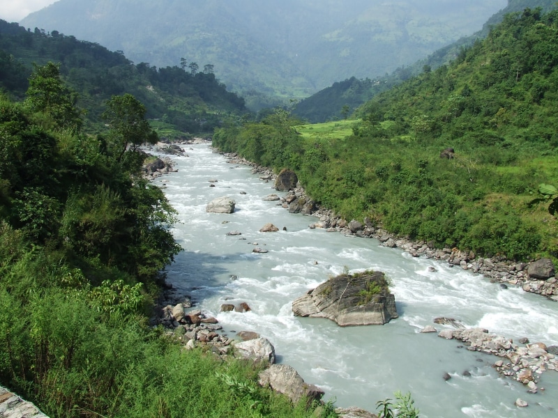 plant, data stream, rainforest, trekking, mountain, tranquil scene, tree, river, growth, nature, nepal, stream - flowing water, stones, rocks, scenics - nature