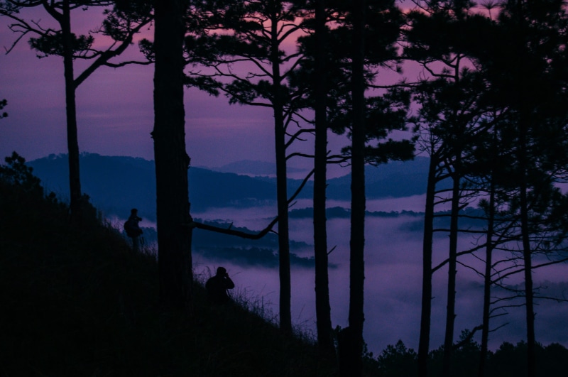 purple, morning, dalat, 2K, cloud, lake, nature, tranquil scene, idyllic, dusk, non-urban scene, hunt, water, outdoors, season, skyline, sunrise, land