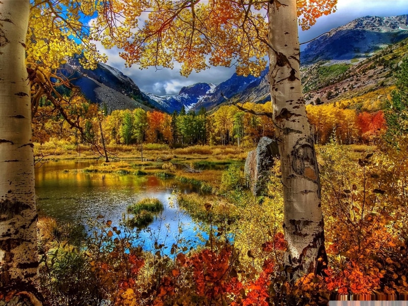 mountain, green, moutain, leaved, trees, nature and landscapes, brown, water, lake, atumn, fall, autumn, plants, orange, body, 1080P