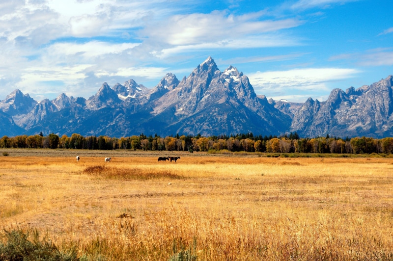 hole, mood, landscape, mountain range, moutains, nature, tranquil scene, national, grand tetons in the fall, snow, wyoming, no people, autumn, environment