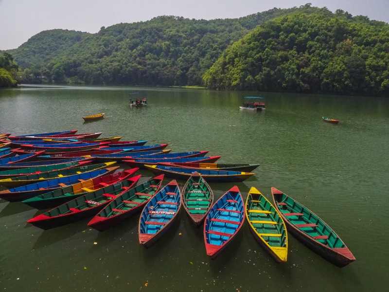 multi colored, watercraft, nautical vessel, tranquility, outrigger, tranquil scene, scenics - nature, paddle, tree, rainforest, water, outdoors, nature