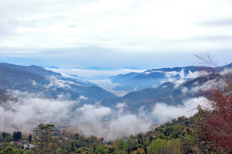 pine tree, mountain range, clouds, fog, coniferous tree, nepal, tree, cloud - sky, non-urban scene, asia, tranquility, pollution, scenics - nature, land