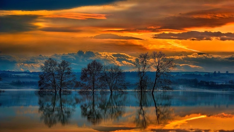 reflection, water, reflected, calm, lake, 1080P, orange sky, nature, tree, cloud, landscape, sunset, sky, afterglow