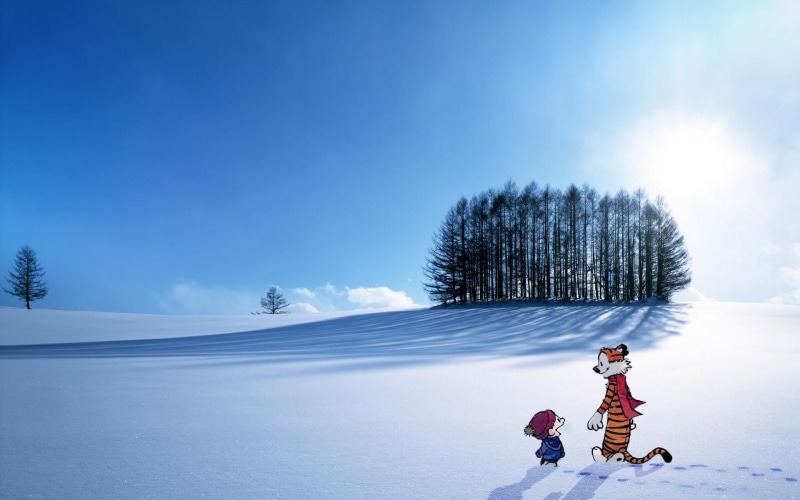 women, black, white, sky, 1080P, nature, positive emotion, tree, childhood, full length, two people, warm clothing, winter, plant, offspring, sled, Calvin and Hobbes