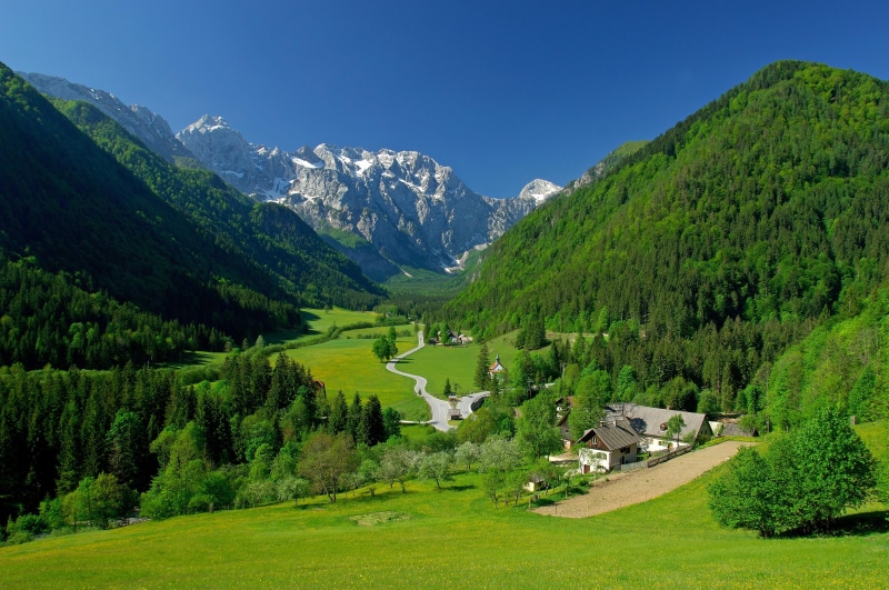 valley, 4K, mountains, fields, alpine valley, green, spring, alpine, trees, landscape
