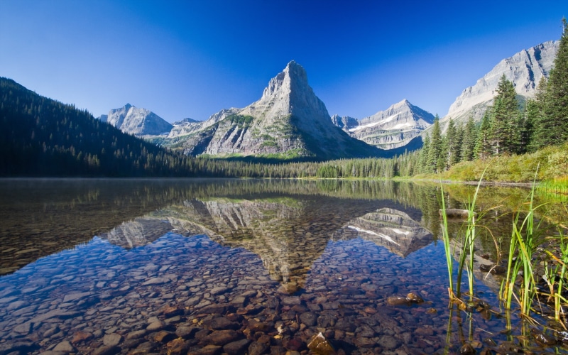 lake, USA, mountains, reflection, grass, trees, forest, snow, Glacier National Park, 2K, nature, landscape, Montana, stones