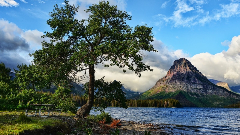 waves, no people, clouds, lake, mountain, bench, growth, Glacier National Park, beauty in nature, tranquility, day, non-urban scene, 1080P, cloud - sky