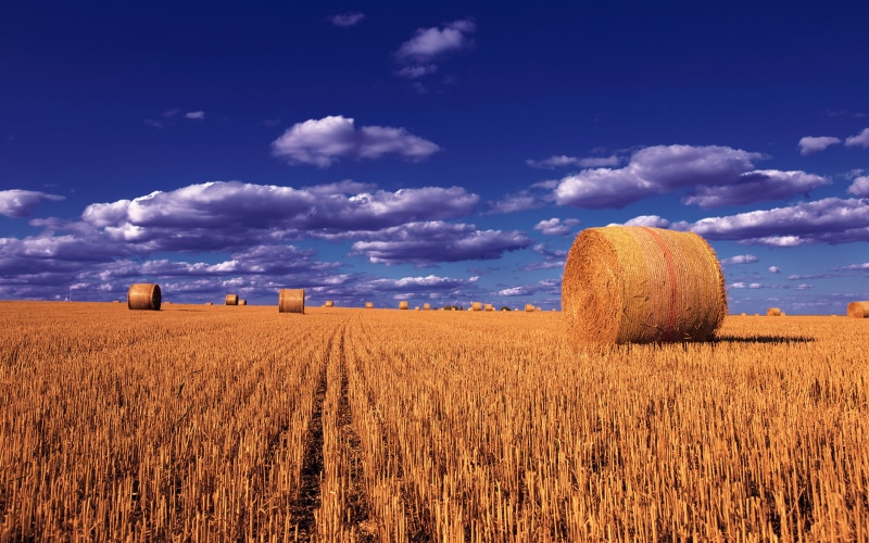sky, balls, montana, tv, photo, cloud - sky, tranquil scene, no people, nature, cereal plant, plant, bale, desktop, land, 4K, farm, crop, hay, scenics - nature