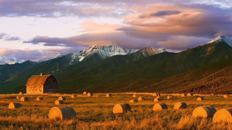 bales, barn, field, mission, 1920x1080, bale, nature, green, montana, hay, grass, brown, 1080P, mountains, mountain
