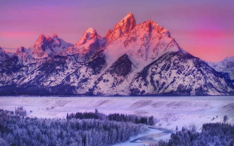 purple, winter, snowcapped mountain, trees, environment, nature, Grand Teton National Park, mountain range, no people, sunset, sky, gray, beauty in nature