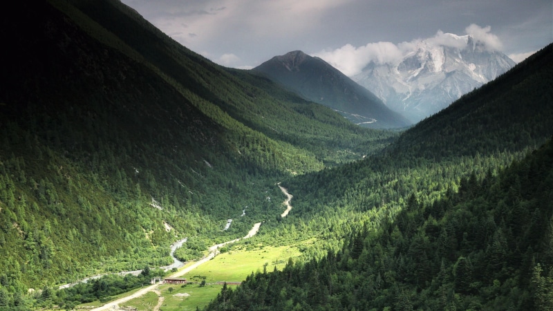 ba mei zhen, mountain range, 4K, pine tree, china, cloud, no people, cloud - sky, scenics - nature, tranquil scene, green color, coniferous tree, sichuan