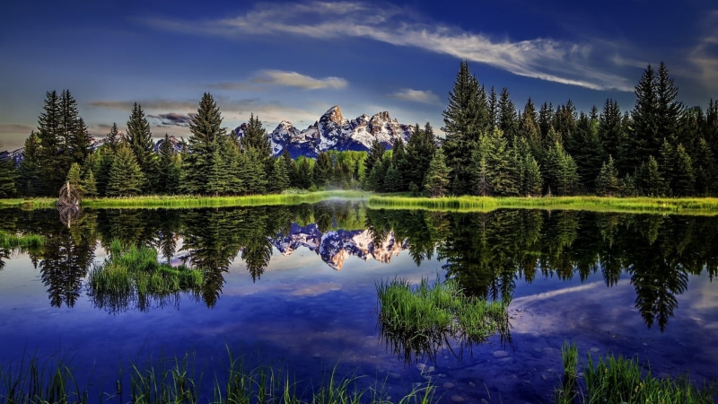 nature, blue sky, snake river, wilderness, united states, tree, beauty in nature, no people, pine tree, cloud - sky, lake, wyoming, reflection lake, mountain