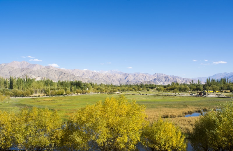 day, lake, grass, mountain, ladakh, blue, tree, plant, non-urban scene, water, greenery, sky, mountains, land, scenics - nature, india, outdoors, no people