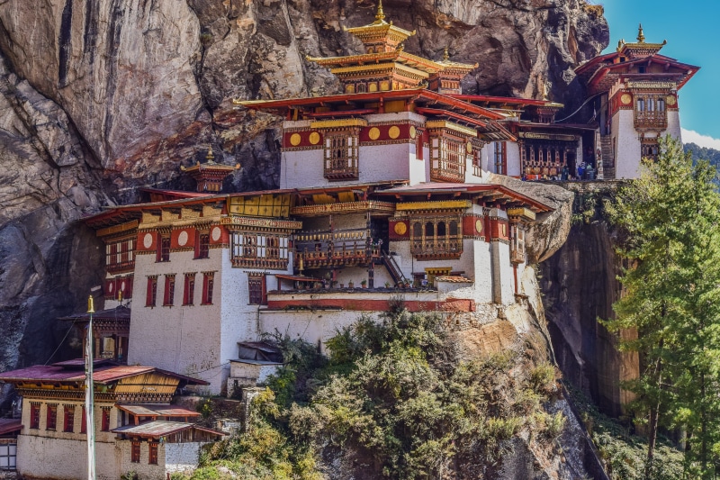 place of worship, bhutanese, no people, tree, shrine, buddhist, architecture, travel destinations, history, building, brown, tigers nest, cliff, low angle view