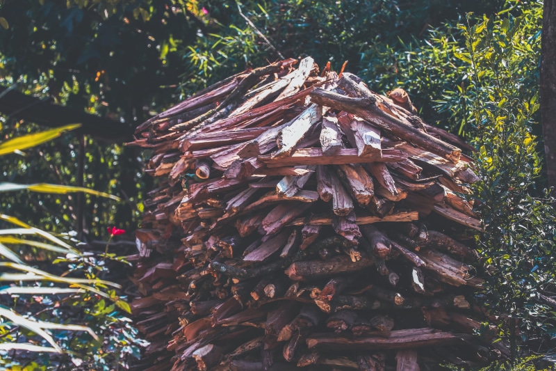 firewood, no people, wood, ghandruk, nature, nepal, growth, close-up, large group of objects, land, log, plant, day, lumber industry, coniferous tree, tree