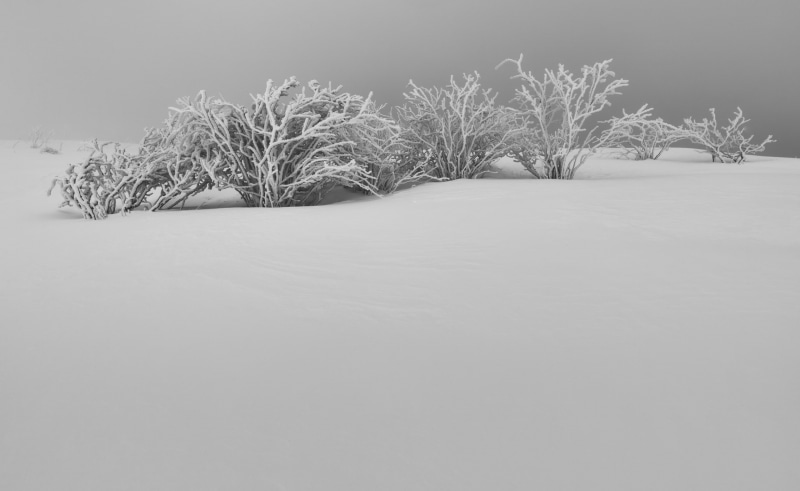 Haze, Summit, Silver Efex Pro 2, Novembre, Monochrome, France, Hautes Vosges, montagne, black, Frozen, nikon, Covered, Landscape, Foggy, 18-35mm, 2K, Snow