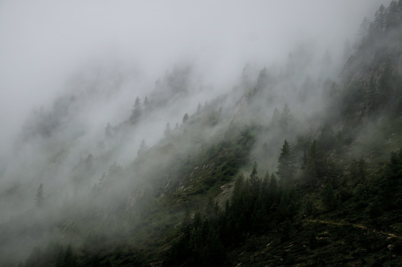 mountain, land, landscape, overcast, forest, rural, no people, woodland, scenics - nature, fogs, nature, tranquil scene, green, mist, day, fog, alp, remote