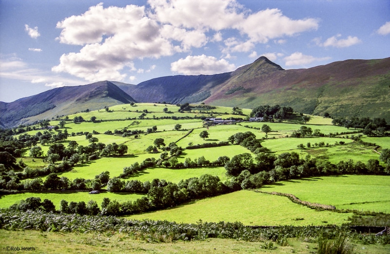 pike, picco, grassland, grass, hill, green Color, Causey Pike, lakeland, landscapes, scenery, Rice Field, field, mountain, spitzen, scenic, picturesque