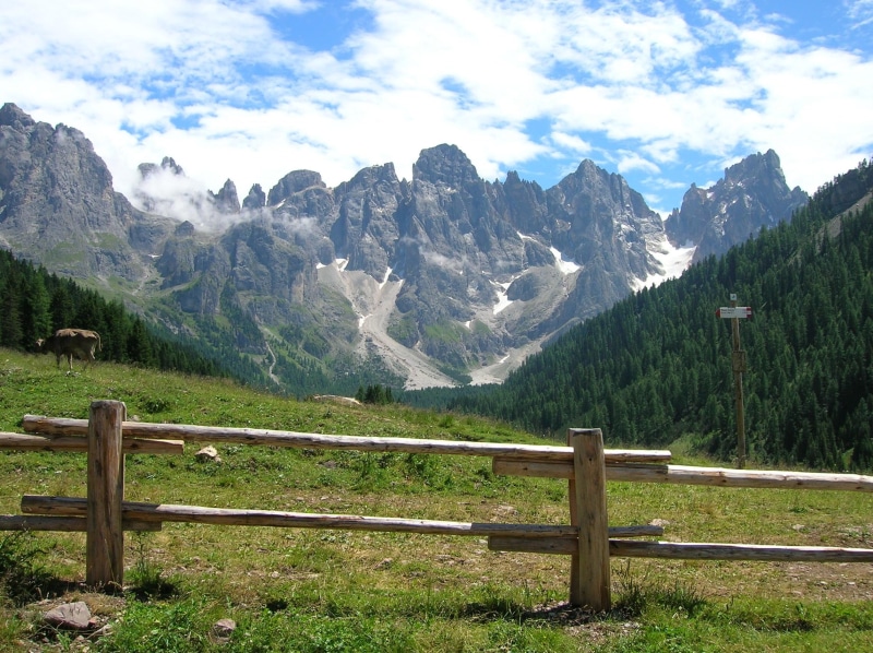 mountain, malga, montano, fegatelli, val, 1080P, trentino, landscape, montagna, liver, paesaggio, mountain hut, venegia