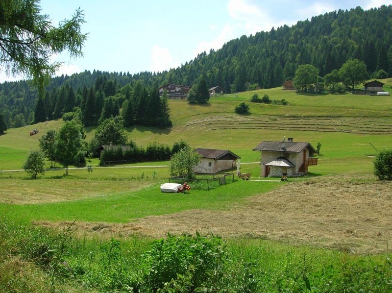 landscape, black, alpine meadows, houses, mountains, white, two, boschi, alpi, wooden, baita, paesaggio, alpina, 1080P, prati, forests, montagna