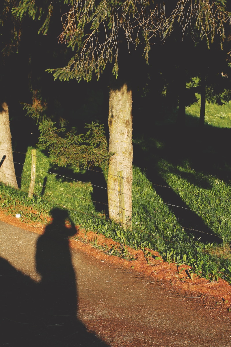 focus on shadow, outdoors, women, grass, leisure activity, lifestyles, real people, shadow, 5K, men, italy, growth, green color, land, one person, photography