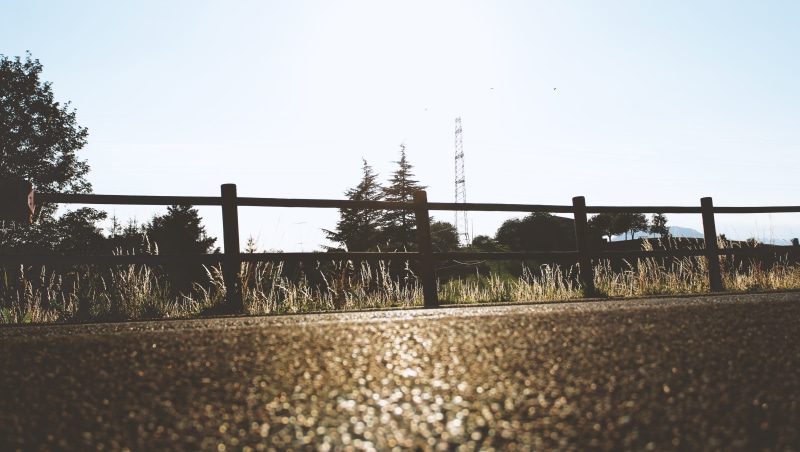 nature, focus on background, fence, tree, barrier, italy, sky, railing, surface level, no people, san zeno di montagna, day, growth, tranquility, plant