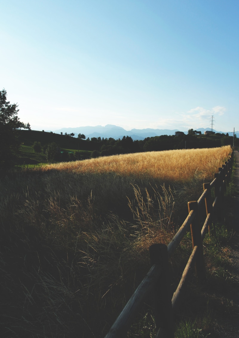 grass, nature, field, plant, san zeno di montagna, mountain, sun, growth, scenics - nature, no people, clear sky, lake, agriculture, land, 4K, landscape