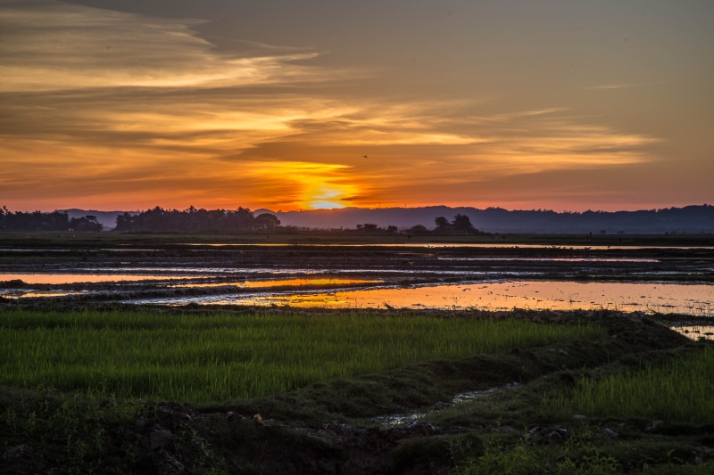 outdoors, cloud - sky, rural scene, lake, 5K, sunset, scenics - nature, landscape, water, tranquil scene, assam, beauty in nature, orange color, no people